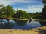 elephant corridor five star boutique hotel sigiriya sri lanka cultural triangle image Ref IHB100065 resort facilities picture gallery copyright InternetHolidaysBiz